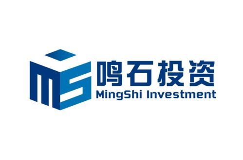 上海鳴石投資管理